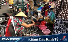Hải sản, dừa xiêm, dứa,... đồng loạt giảm giá mạnh do dịch Covid-19
