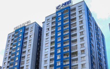 Năm Bảy Bảy (NBB): Năm 2020 tổng doanh thu sẽ đạt 3200 tỷ đồng cao gấp 4 lần 2019