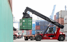 Vận tải và Xếp dỡ Hải An (HAH): Năm 2020 dự kiến doanh thu tăng 21%, lãi đi ngang