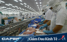 Xuất khẩu cá tra đón nhận tín hiệu tốt từ thị trường Mỹ và Trung Quốc