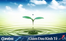 NƯỚC - một chữ ngắn ngủi, nhưng hàm chứa kho trí tuệ đời người: Những ngày dịch bệnh lại càng thấm thía!