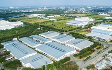 Ghi nhận doanh thu từ 2019, lãi tiền gửi tăng nhiều giúp VRG lãi cao trong quý 1/2020