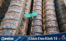 Những ngày khó khăn bởi dịch bệnh, ngẫm thấm thía: Đời người giống như một chén trà, tuy không đắng cả chén nhưng sẽ đắng vài ngụm