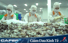 Tác động của Covid-19 tới ngành thủy sản Việt Nam và thế giới: Tôm sẽ bị ảnh hưởng nặng nhất, các mặt hàng khác thì sao?