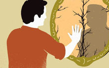 Đàn ông hướng nội bị cho là yếu đuối, thụ động và chậm chạp: Thực tế, họ mới là người sở hữu vũ khí 'bách chiến bách thắng'