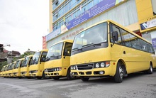 Hoàng Hà (HHG): Quý 1 lỗ 15 tỷ đồng