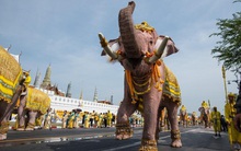 Dù bị rút vốn mạnh bởi Covid-19 nhưng nhà đầu tư Thái Lan vẫn đang nắm giữ 10% vốn trong VFMVN30 ETF