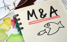 Làm gì để ngăn nguy cơ doanh nghiệp Việt bị thâu tóm giá rẻ hậu đại dịch Covid-19?