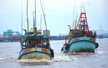 Gỡ khó cho khai thác, chế biến và tiêu thụ hải sản