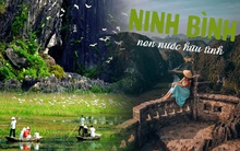 Nếu yêu thiên nhiên và muốn đắm chìm trong khung cảnh bình yên của vùng sông nước, Ninh Bình chính là điểm đến tuyệt vời dành cho bạn