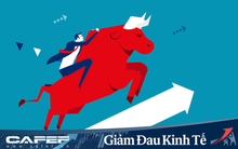 Thị trường chứng khoán bứt phá mạnh, hàng loạt cổ phiếu đã vượt qua giá trước Covid-19