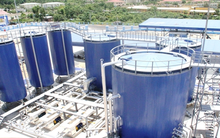 Hóa dầu Petrolimex (PLC): Dành 121 tỷ đồng chia cổ tức năm 2019; Kế hoạch lãi sau thuế 110 tỷ đồng năm 2020