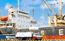 Gelex thoái vốn, VNDirect chi 200 tỷ mua lại hơn 16% Cảng Đồng Nai