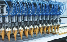 Kido Foods lên phương án sáp nhập vào Kido Group, chia cổ tức đặc biệt 2020 tỷ lệ 30%