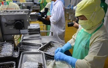 Cơ hội xuất khẩu cho sản phẩm tôm nước lợ sau dịch Covid-19 là rất lớn