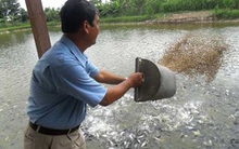 Hoàng Long (HLG): LNST quý 1 tăng 67% so với cùng kỳ