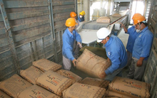 Xi măng Hà Tiên 1 (HT1) dành 458 tỷ đồng chia cổ tức năm 2019, kế hoạch lãi trước thuế 830 tỷ đồng năm 2020