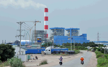 Nhiệt điện Hải Phòng (HND) dự chi 550 tỷ đồng trả cổ tức còn lại năm 2019