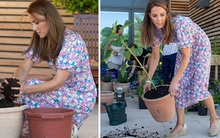 Trước lùm xùm không chịu xuống nước làm lành với em dâu Meghan, Công nương Kate lội ngược dòng ngoạn mục, ghi điểm bằng hình ảnh chưa từng thấy