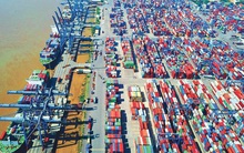 Tại sao chuyên gia World Bank xem Việt Nam là ngôi sao sáng trên bầu trời Covid-19 tăm tối?