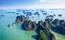 Thủ tướng đồng ý bầu bổ sung Phó Chủ tịch UBND tỉnh Quảng Ninh