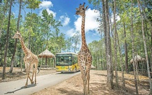 Hà Nội chuẩn bị có Vinpearl Land rộng 80ha tại Gia Lâm kết hợp Safari dưới nước và trên cạn