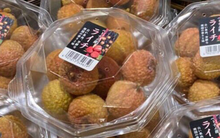 Vải thiều Việt Nam xuất hiện tại siêu thị của Singapore