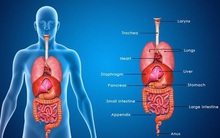 Bất thường xuất hiện trên cơ thể cho thấy các cơ quan nội tạng quá "bẩn"