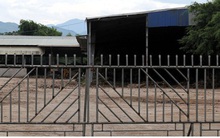 Doanh nghiệp ở Yên Bái nợ tiền tỷ khiến hàng chục hộ dân kêu cứu