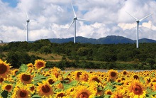 Các quốc gia trên thế giới tính giá điện như thế nào?