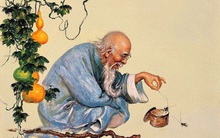 Sống an yên cần tránh xa 4 chữ "Quá": Trí nhớ quá tốt, lời nói quá nhiều, ánh mắt quá cao, đặc biệt là điều này quá nhỏ!