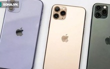 Giá iPhone 11 bất ngờ lao dốc