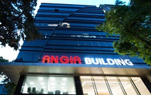 An Gia (AGG): Nhờ mua nhóm công ty con Hoàng An, quý 2 lãi 192 tỷ đồng cao gấp 2 lần cùng kỳ