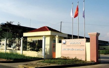 Đông Hải Bến Tre (DHC): Quý 2 lãi 79 tỷ đồng cao gấp 3 lần cùng kỳ