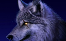 Chấp nhận là sói đơn độc trên con đường mình chọn còn hơn là sống an phận làm hài lòng người khác: Một đời rất ngắn, đừng ngại trở nên khác biệt