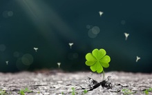 Không phải tướng mạo, tài sản hay địa vị, đây mới là 4 thứ quý giá nhất của đời người