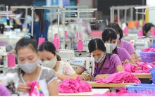 Khó khăn chồng chất khiến xuất khẩu dệt may sụt giảm mạnh