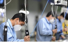 Doanh nghiệp tái cấu trúc, tăng khả năng chịu sốc từ bên ngoài