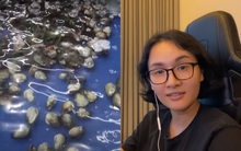 Đi Nha Trang chơi, hot vlogger và bạn bị "chém" 5 triệu VNĐ cho một bữa ăn hải sản không ngon: Hóa ra tài xế taxi và quán ăn câu kết để chèo kéo khách!