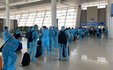 Hơn 310 công dân Việt Nam từ Hàn Quốc về nước an toàn