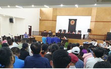 Bán thóc, vay nợ để nộp cho "trùm lừa đảo" đa cấp Tập đoàn Thăng Long