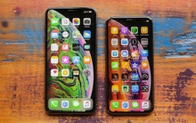 iPhone XS, iPhone 11 Pro Max,... ngày càng rẻ, cửa hàng tung chiêu tặng kèm Airpods và Apple Watch để kích cầu