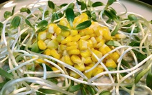 Ai cũng phải cẩn trọng khi dùng 9 món ăn quen thuộc này kẻo ngộ độc