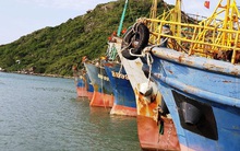 Ngân hàng khởi kiện chủ tàu vỏ thép ra tòa, yêu cầu trả nợ