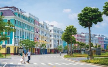 Vì sao 20% sàn giao dịch BĐS vẫn sống khỏe trong khi 80% còn lại đóng cửa, tạm dừng hoạt động?