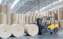 Chuyển động mới tại Đông Hải Bến Tre (DHC): Nhóm SSIAM bán toàn bộ 11 triệu cổ phiếu, vợ Chủ tịch HĐQT đăng ký mua