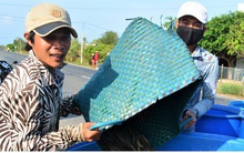 Cà Mau tìm đầu ra cho khoảng 19.000 tấn tôm đang tồn đọng