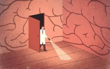 Lựa chọn đúng quan trọng hơn nỗ lực mù quáng: Thuyền trưởng không định hướng, tàu đi lệch; người không định hướng, lạc trong u mê