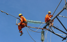 Tư vấn xây dựng điện 2 (TV2) triển khai phương án trả cổ tức bằng cổ phiếu tỷ lệ 50%