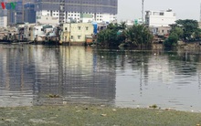 Rác bủa vây hàng loạt kênh, rạch tại TP HCM